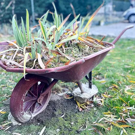 Aventura Latourdecarol *