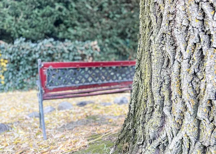 Aventura Latourdecarol *